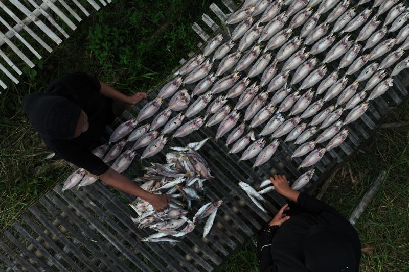 Harga ikan asin naik di Bombana