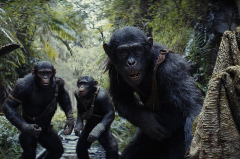 "Kingdom of the Planet of the Apes" raup pendapatan 237 juta dolar AS
