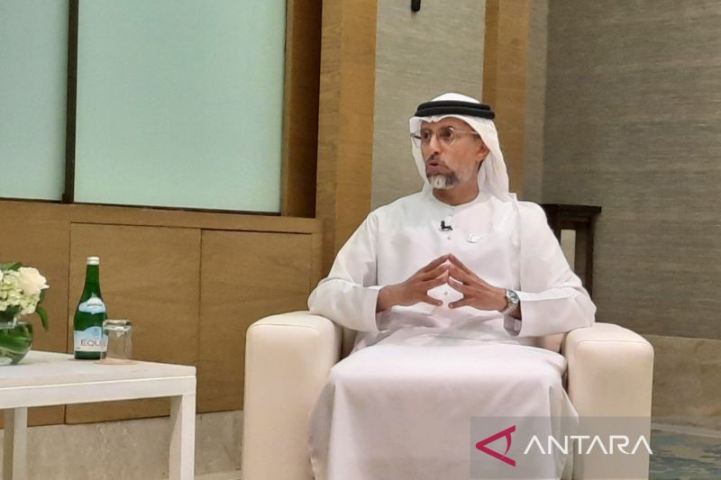 Menteri UAE soroti potensi memperluas kerja sama energi dengan RI