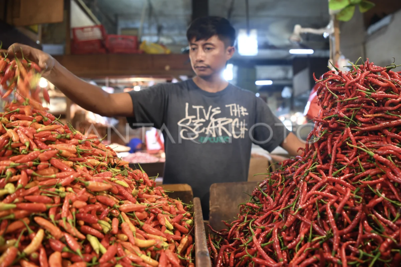 Harga cabai rawit naik