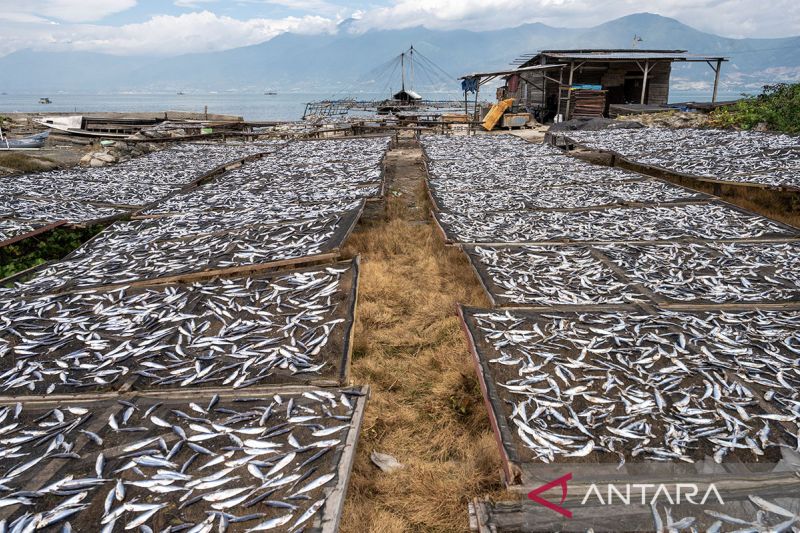 Harga ikan kering naik di Palu