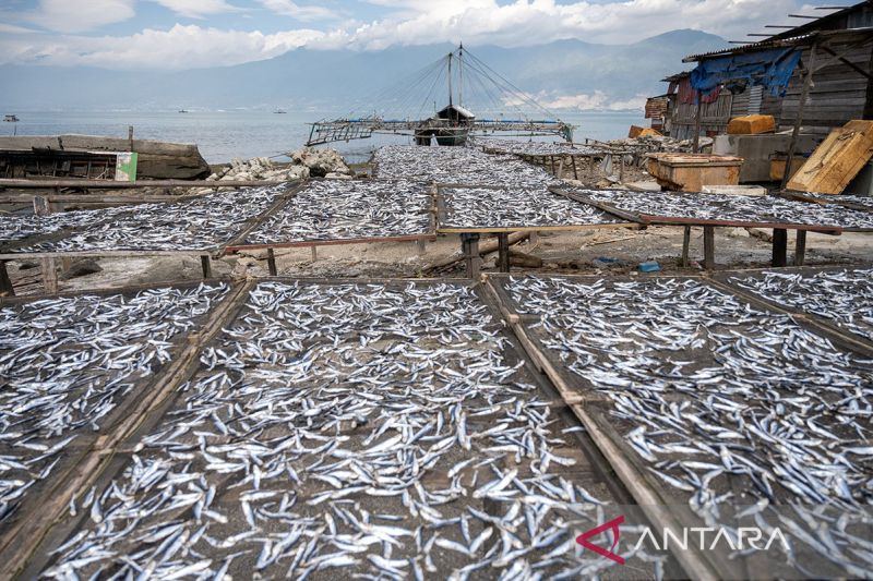 Harga ikan kering naik di Palu