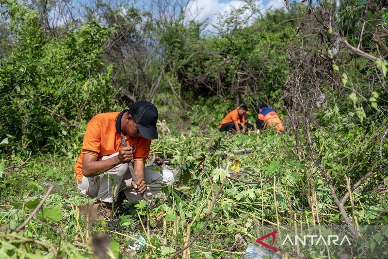 Hari Keanekaragaman Hayati Sedunia di Palu