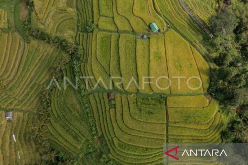 Panitia sediakan kunjungan wisata untuk delegasi World Water Forum