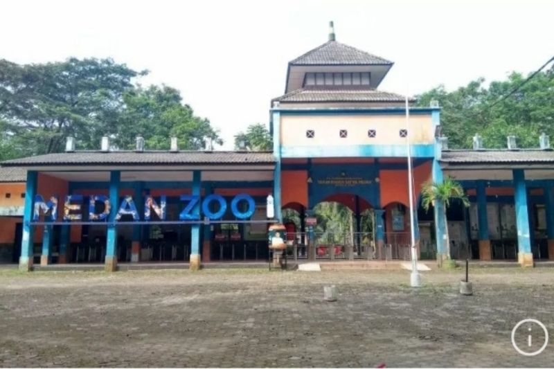Wali Kota Medan targetkan investasi Medan Zoo mulai Juni