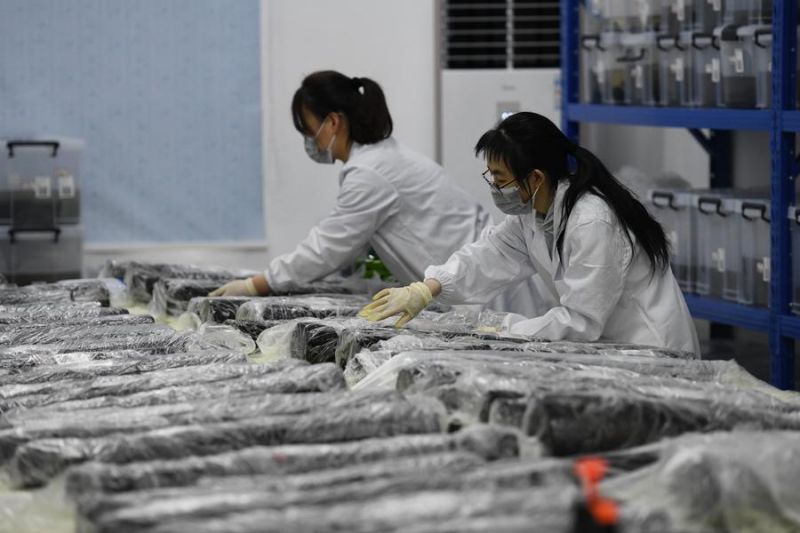 China akan kembangkan lebih banyak lembaga arkeologi kelas dunia