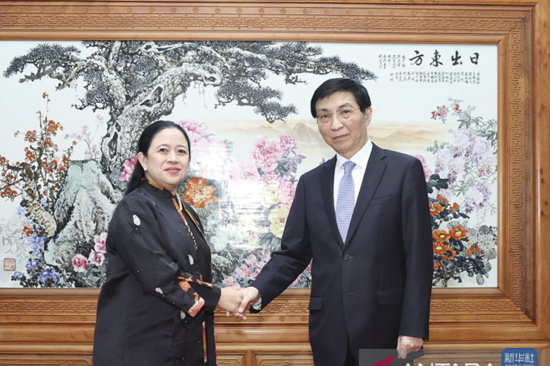 Badan penasihat China ingin eratkan kerja sama dengan DPR Indonesia