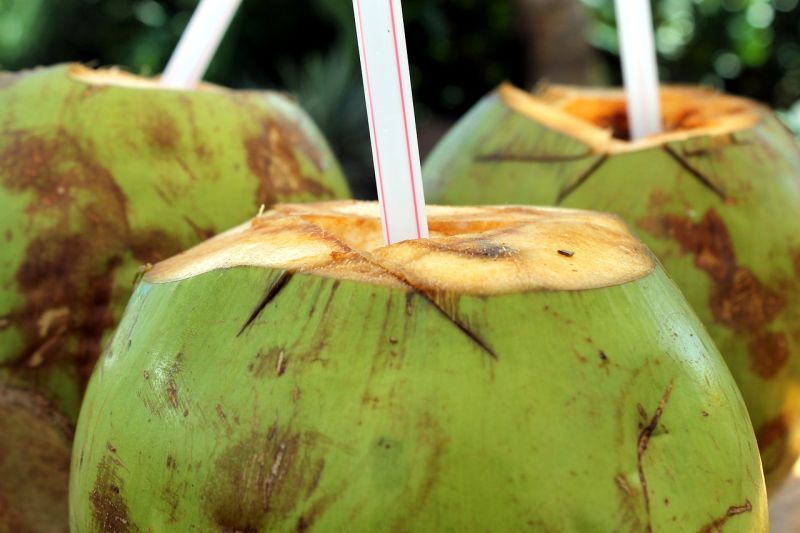 khasiat-air-kelapa-melancarkan-pencernaan-dan-menstabilkan-tensi