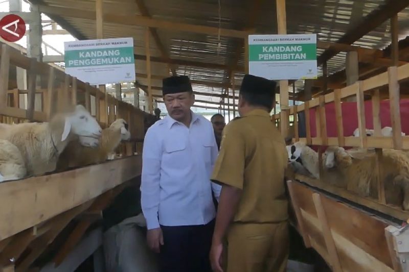 Entaskan kemiskinan Temanggung, Baznas luncurkan balai ternak domba