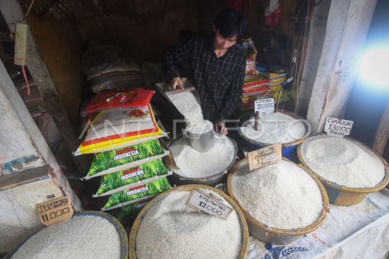 BPS sebut harga beras di tingkat grosir dan eceran terus turun