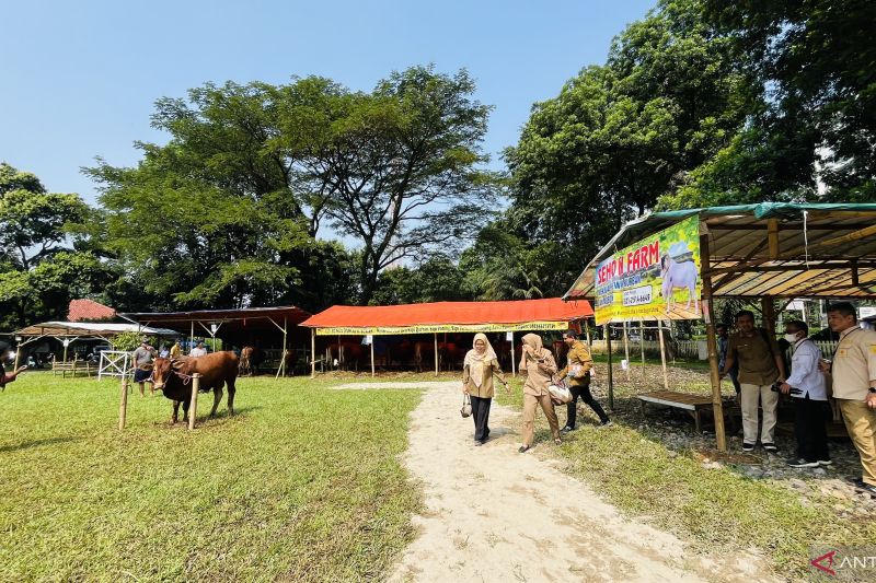 BSIP dan Pemkot Bogor fasilitasi peternak jual hewan kurban di BHQ