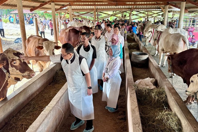Pemprov Jawa Timur pastikan ketersediaan dan kesehatan hewan kurban