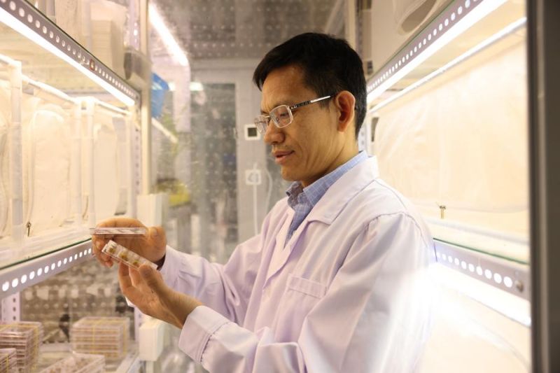 Ilmuwan China kembangkan pestisida ramah lingkungan