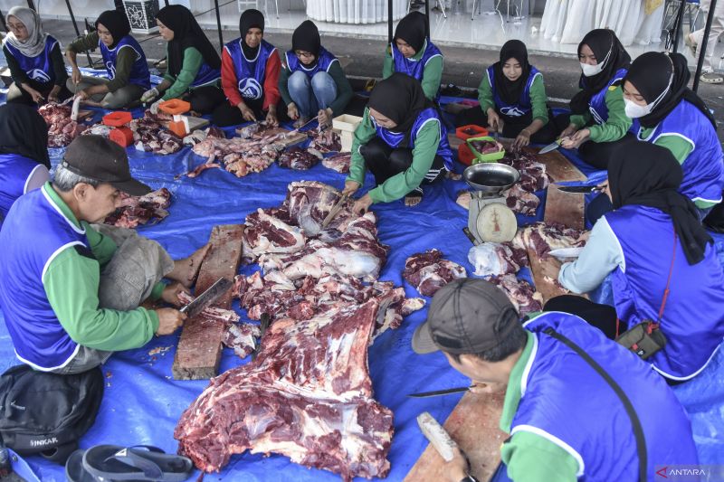7-tips-ampuh-bersihkan-jeroan-daging-kurban-agar-tidak-berbau