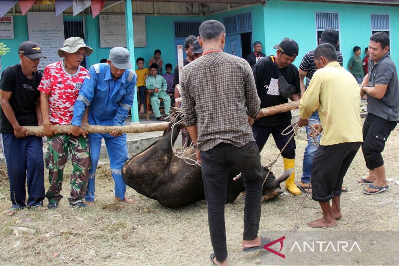 FOTO - Perayaan Hari Raya Idul Adha di Dumai