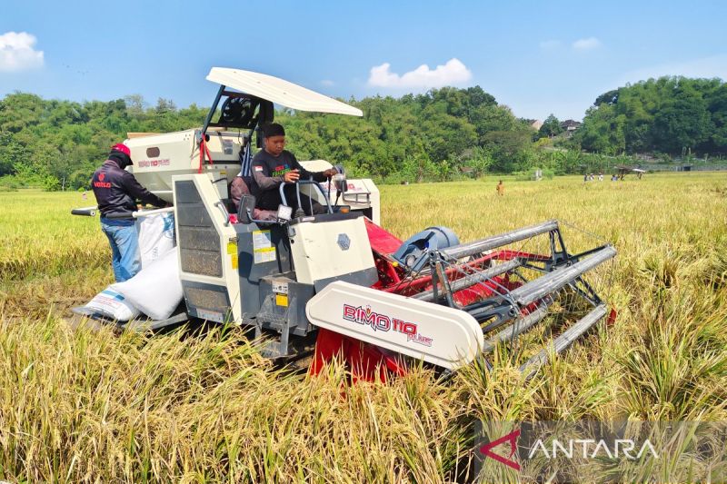 Karanganyar tingkatkan surplus produksi beras melalui pompanisasi