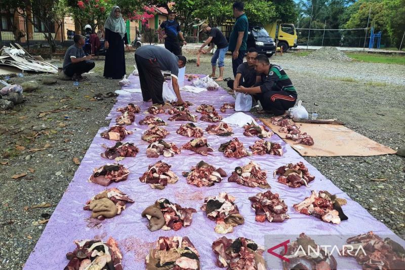 empedu-kambing-khasiat-efek-samping-dan-cara-konsumsi-yang-aman