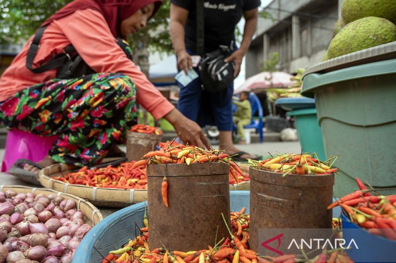 Harga cabai rawit di Palu masih tinggi