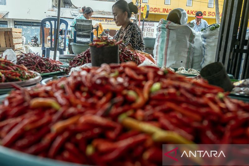 Harga cabai rawit di Palu masih tinggi