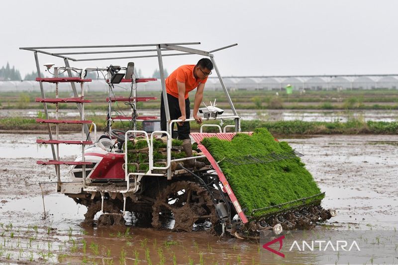China terus kembangkan pertanian pintar yang ramah lingkungan