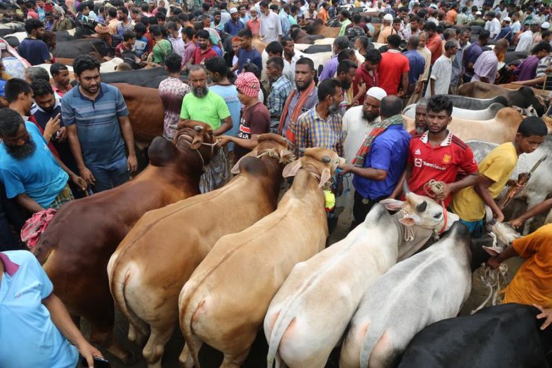 Idul Adha 2024, 10 juta lebih ekor hewan dikurbankan di Bangladesh