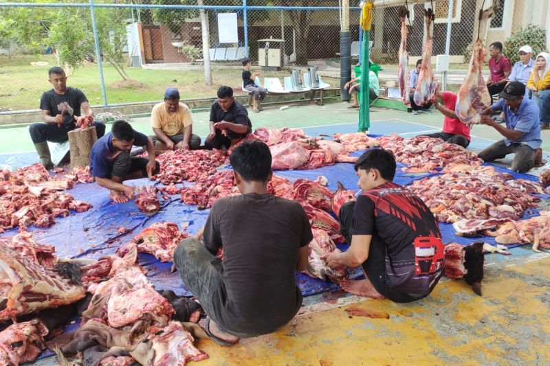 panduan-lengkap-simpan-daging-kurban-dengan-benar-agar-tahan-lama