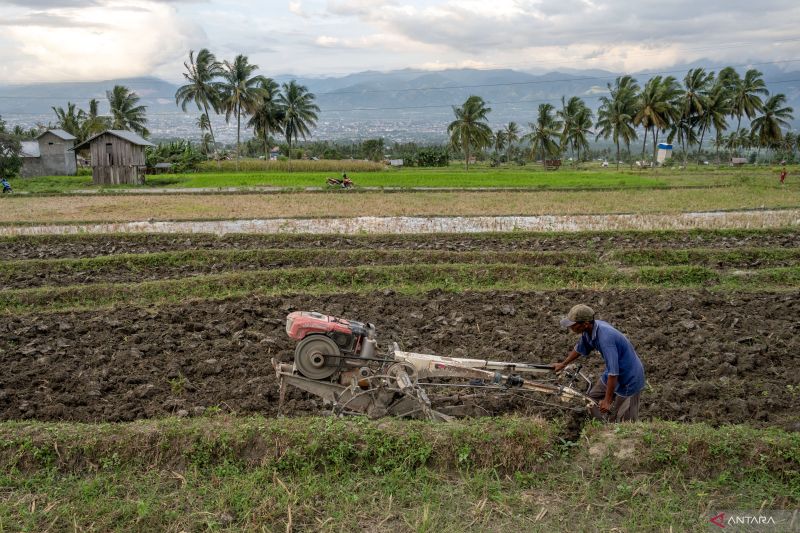 Merawat tanah hitam,  merawat masa depan Indonesia