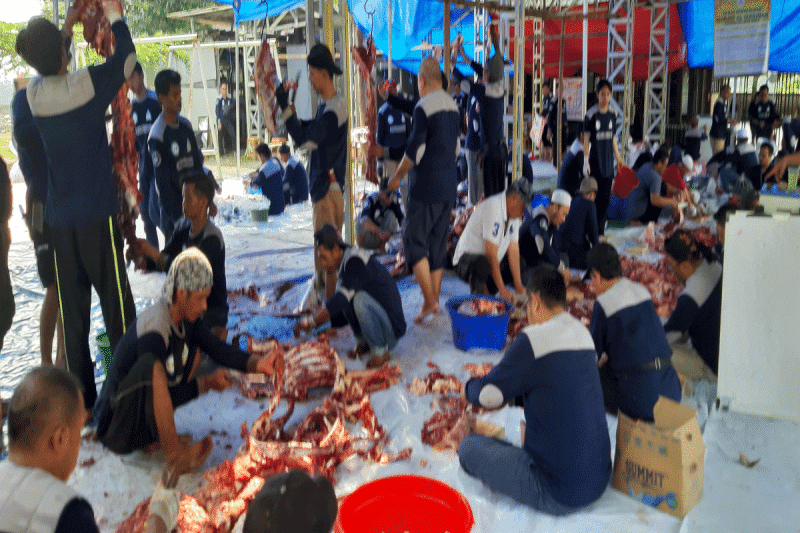 Idul Adha 2025: Panduan pembagian daging kurban sesuai syariat Islam
