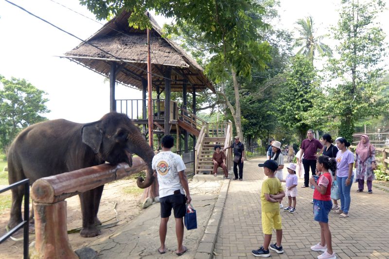 Liburan sekolah di Taman Margasatwa Lembah Hijau