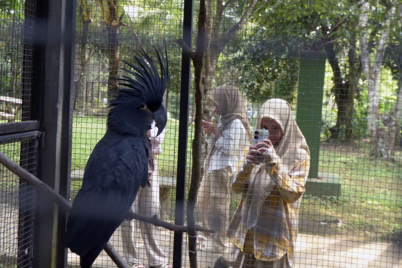 Liburan sekolah di Taman Margasatwa Lembah Hijau