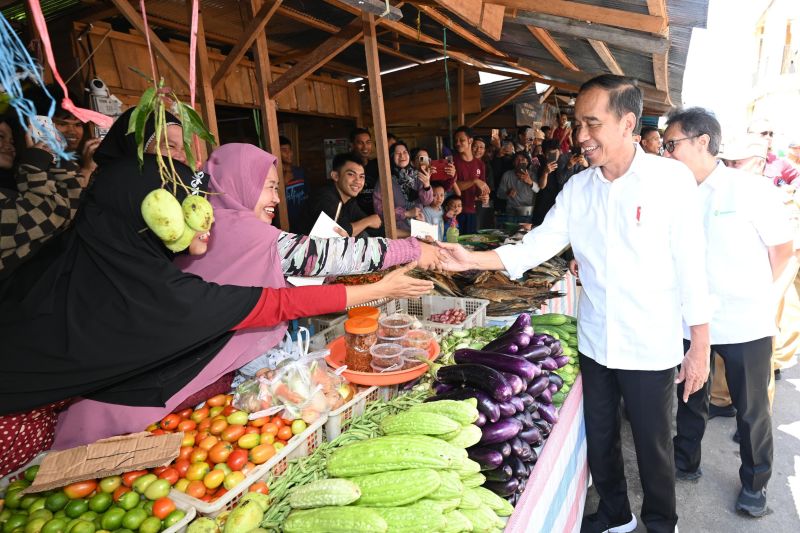 Jokowi ngevlog cek harga bahan pokok di Pasar Beringin Buntok Kalteng