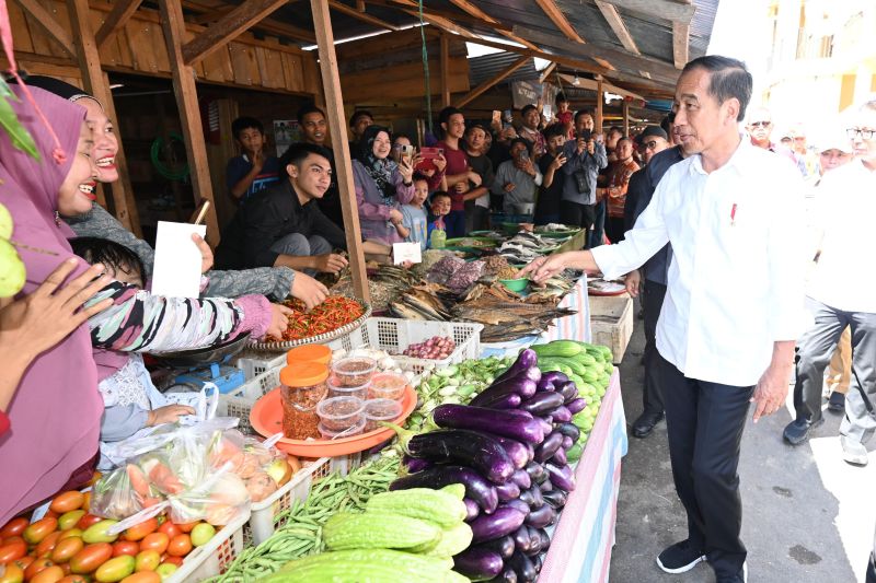 Presiden Jokowi cek harga bahan pokok di Pasar Beringin Buntok Kalteng