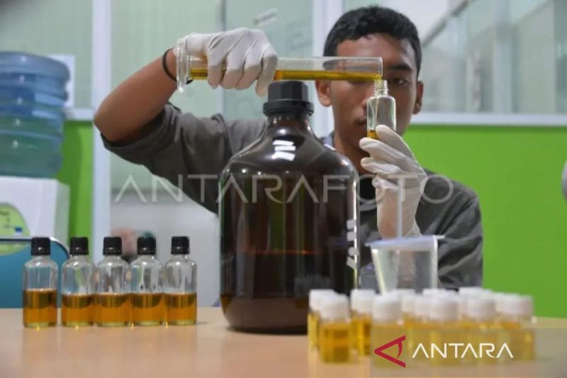 ARC: Kemenkop membantu Rp15 miliar tingkatkan produksi nilam Aceh