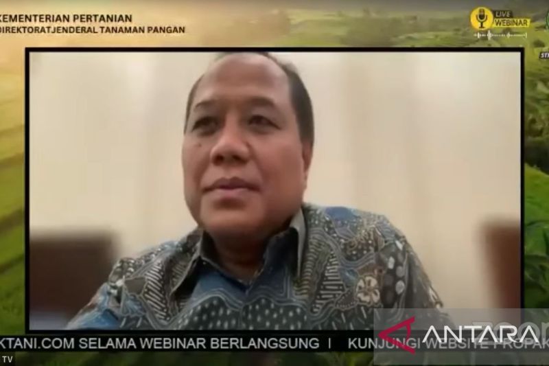 Pupuk Indonesia sambut positif usulan singkong terima pupuk subsidi