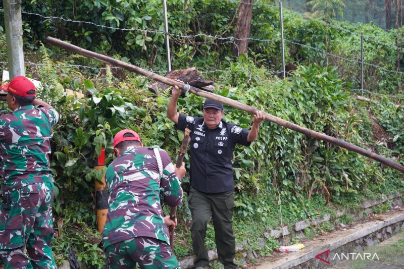 Pemkab Bogor bersihkan puing bekas lapak PKL di Kawasan Wisata Puncak