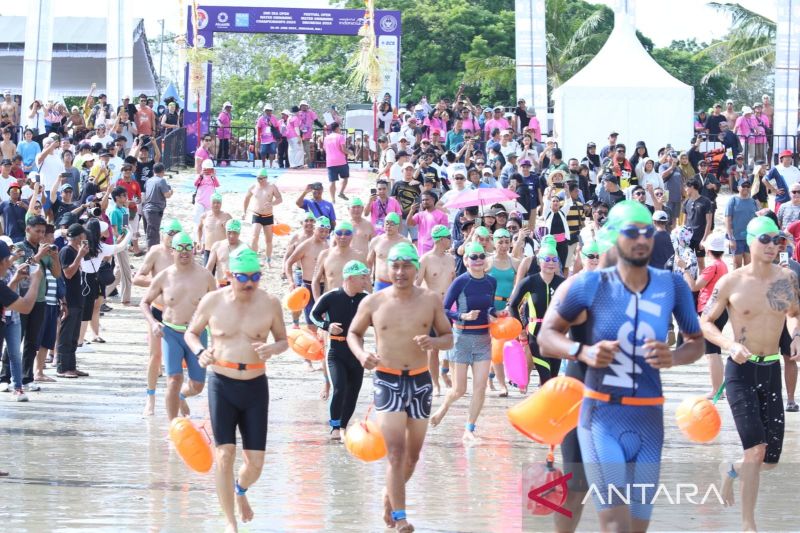 300 peserta ramaikan Festival Open Water Swimming Indonesia