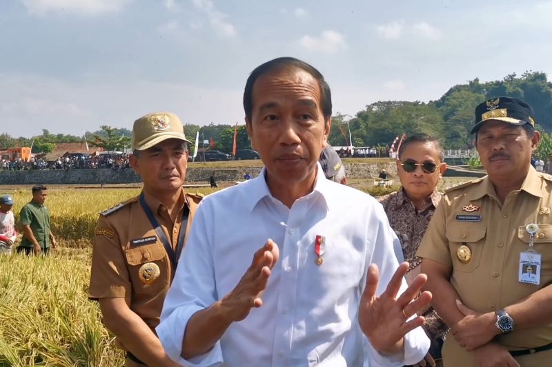 Tinjau pompanisasi, Jokowi berharap petani bisa lewati masa kekeringan