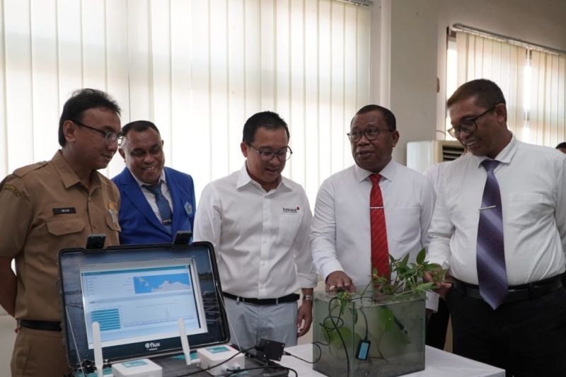 Indosat-Unpatti lakukan digitalisasi konservasi mangrove berbasis IoT