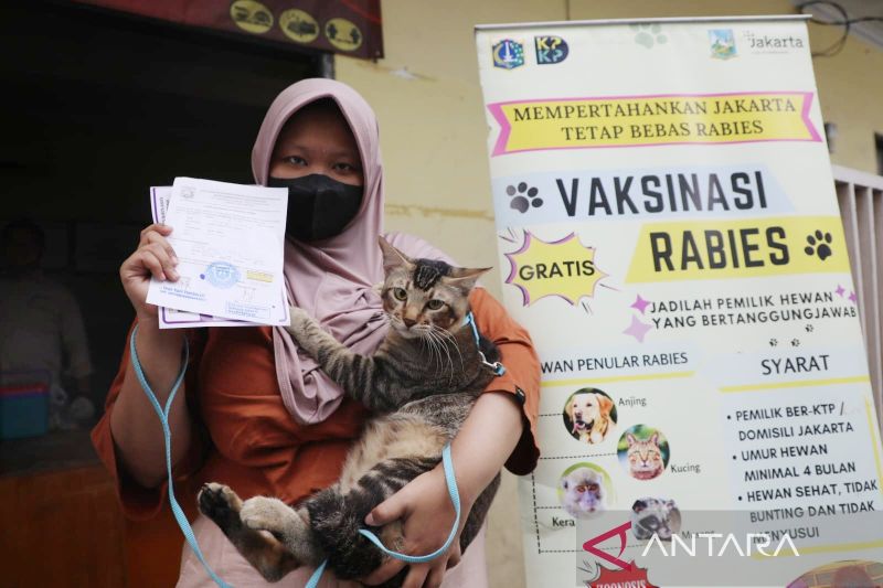 2.546 hewan penular rabies di Jakpus telah divaksin