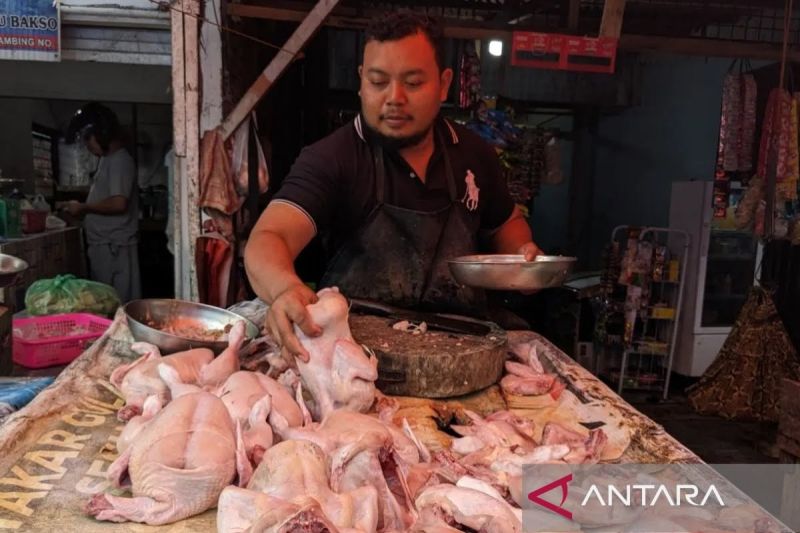 BPS: Harga daging ayam dominan pengaruhi deflasi Sumut pada Juni 2024