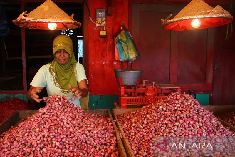 Kota Malang deflasi 0,36 persen didorong penurunan harga bawang merah