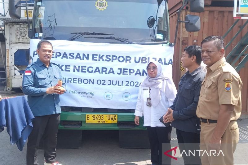 Kementan: Cirebon berhasil ekspor ubi jalar ke Korea dan Jepang