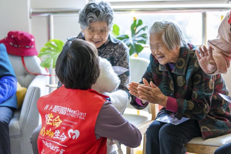 Teknologi AI buka prospek baru bagi perawatan lansia di China