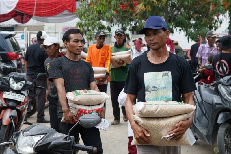 Pemkab Indramayu salurkan 5 ton benih padi unggul untuk petani
