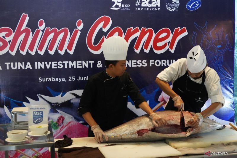 KKP tampilkan "sashimi cutting" tuna seberat 40 kg bersertifikat MSC
