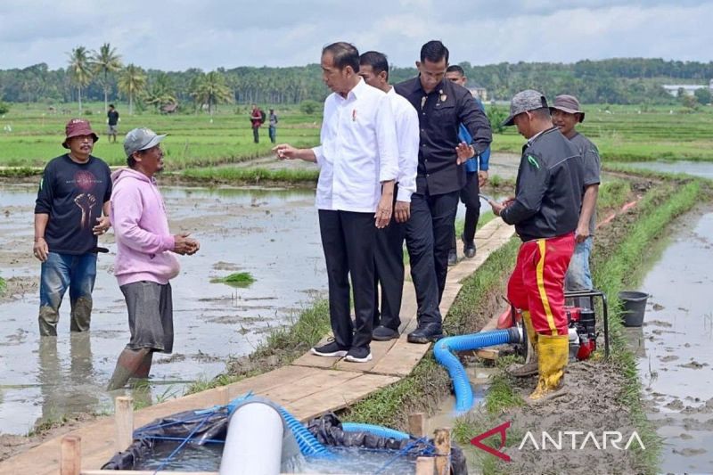 Presiden Jokowi tinjau penyaluran bantuan pompa irigasi di Bone