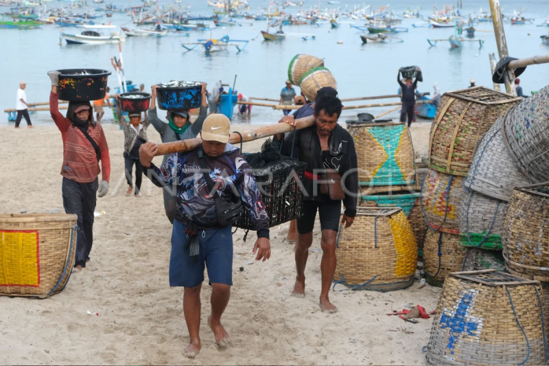 Panen ikan di PantaiÊKedongananÊBali