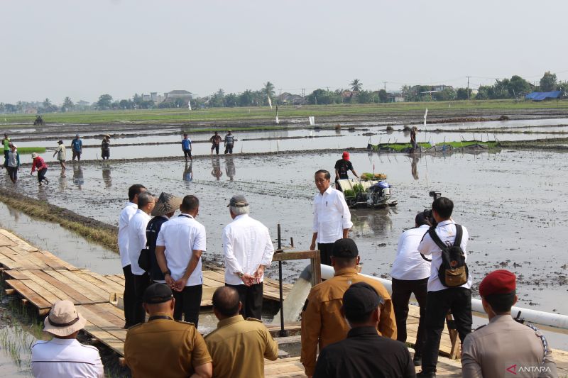 Presiden Jokowi berharap pompanisasi dongkrak produktivitas pertanian