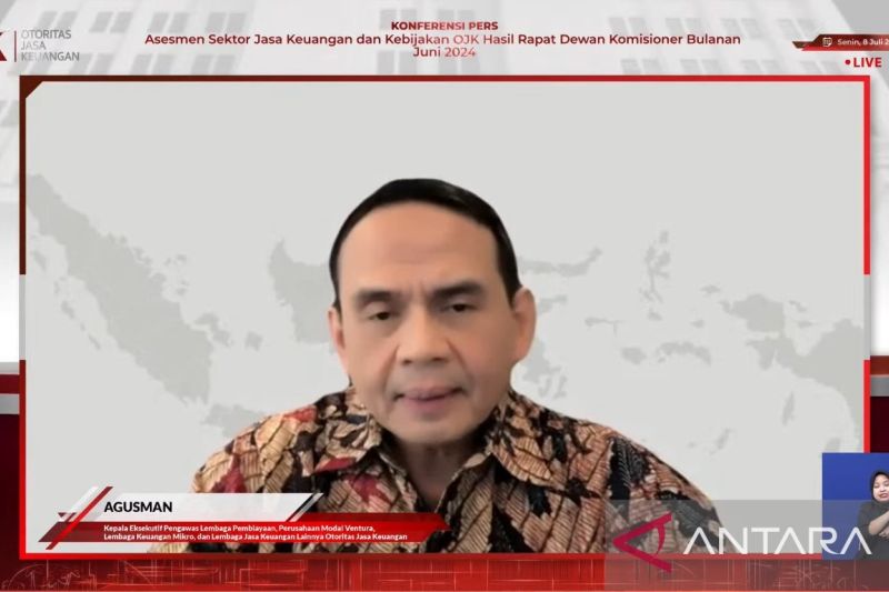 OJK: Pembiayaan "paylater" naik 33,64 persen yoy per Mei 2024