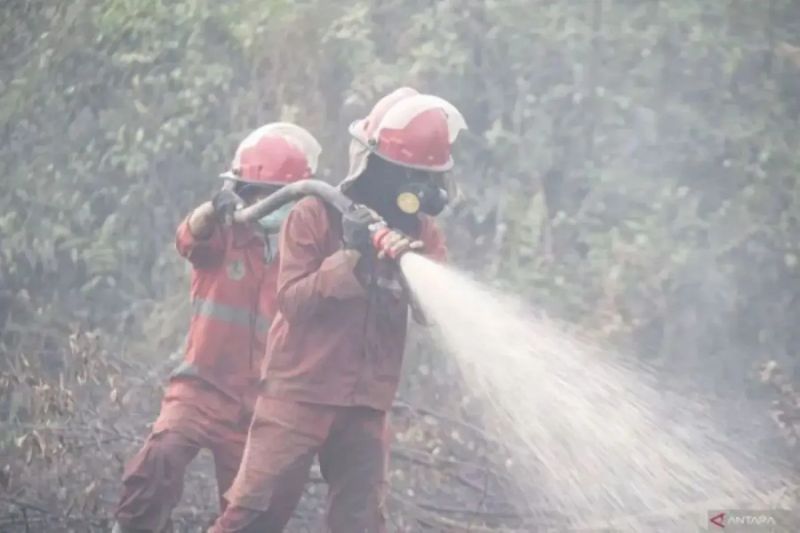 BPBD Sumsel: Pemkab Ogan Ilir tetapkan status siaga darurat karhutla